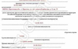 Справка мсэ что это такое