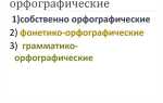Что такое орфографические ошибки в русском