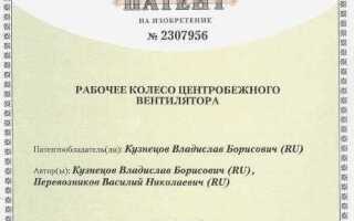Патент с какого года ввели