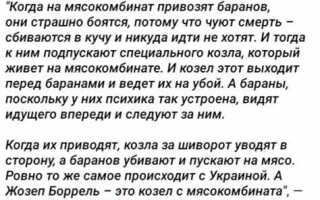 Козел который ведет стадо на убой