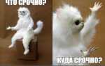 Весьма срочно это сколько дней