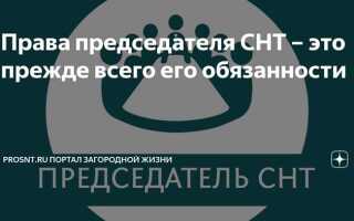 Организация снт с чего начать