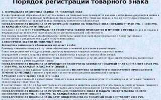 В течение какого срока проводится формальная экспертиза заявки на товарный знак