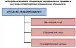 Кто может быть участником правоотношения кратко