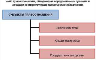 Кто может быть участником правоотношения кратко