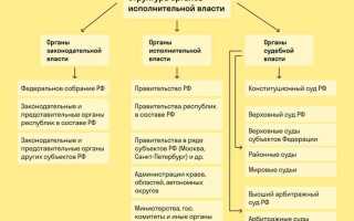 Мэр какая власть законодательная или исполнительная