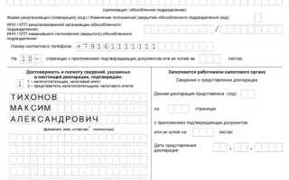 Приложение 1 к налоговой декларации по налогу на прибыль кто заполняет