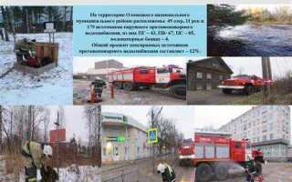 Кто вправе создавать реорганизовывать и ликвидировать подразделения пожарной охраны