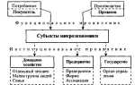 Наименование хозяйствующего субъекта что это