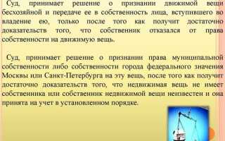 Вещь которая не имеет собственника называется