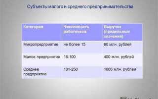 Размер предприятия микро малое среднее как определить