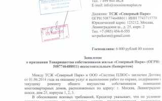 Куда подавать заявление о банкротстве физического лица