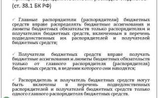 Принцип подведомственности расходов означает что