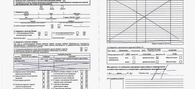 Пассажирская таможенная декларация подается когда