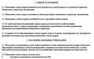 Что означает термин производственная местная инструкция