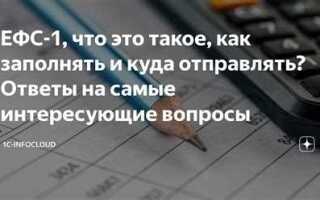Статус зл в ефс что это