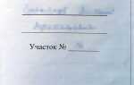 Если снт ликвидировано кому переходят земли