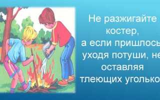 Что могут делать общественные организации и граждане для охраны природы