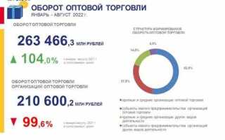 Оборот оптовой торговли для статистики какой счет смотреть