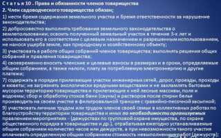 Какие документы должны быть у снт