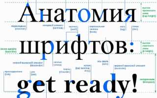 Какой шрифт используют в документах