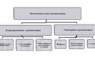 Как узнать коммерческая или некоммерческая организация