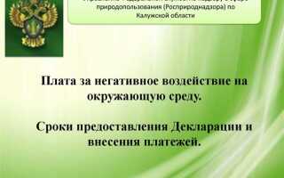 Плата за негативное воздействие на окружающую среду в какой бюджет