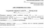 Как подать апелляцию на решение мирового судьи по административному делу