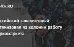 Кто занимается наркоконтролем в рф