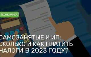 Когда платить налоги в 2023 году