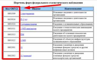 Форма по окуд 0322001 что это