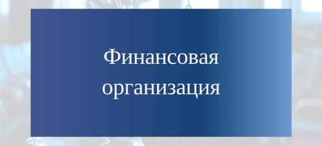 Что относится к финансовым организациям
