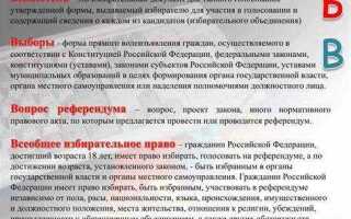 Кому разрешается проводить предвыборную агитацию тест