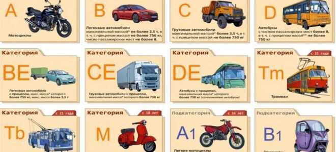 Категория автомобиля м1 что это