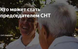 Кто может быть председателем тсн