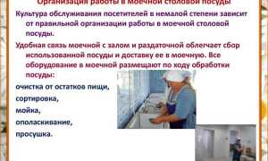 Требования которым должны отвечать услуги питания предоставляемые в гостинице