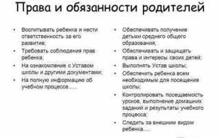 Какой документ содержит положения о правах и обязанностях преподавателя