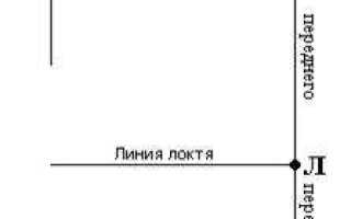 Из какого расчета должны крепиться рукавными задержками вертикальные рукавные линии