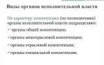 Какие органы входят в публичную администрацию