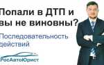 Что делать если попал в дтп и не виноват