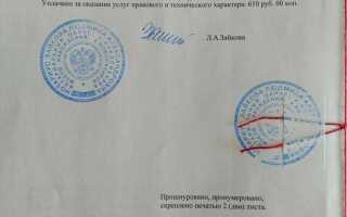 Копия заверенная в установленном порядке это как