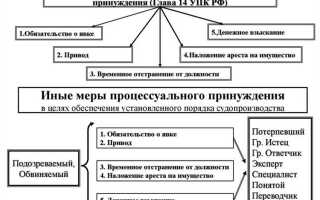 Задержание подозреваемого как мера процессуального принуждения