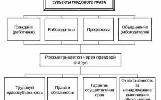 Кто является субъектом образовательных правоотношений
