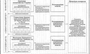 Статус бюджетный мониторинг в казначействе что означает