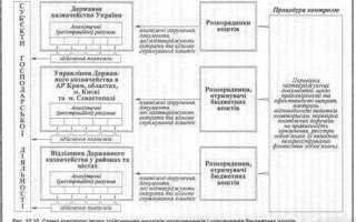Статус бюджетный мониторинг в казначействе что означает