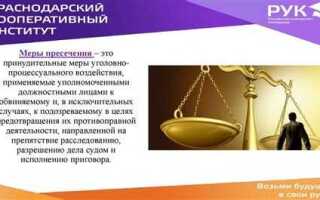 Какие обстоятельства учитываются при избрании меры пресечения