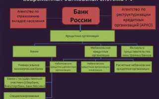 Деятельность агентств по сбору платежей и бюро кредитной информации что это