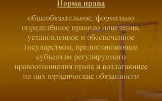 Нормативно правовой акт как источник права