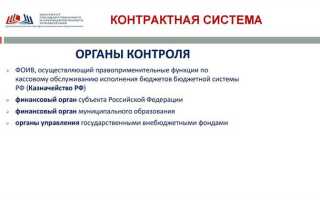 Какой орган осуществляет аудит в сфере закупок на федеральном уровне