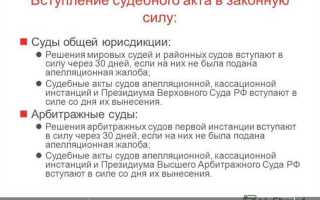В какой момент постановление арбитражного суда апелляционной инстанции вступает в законную силу